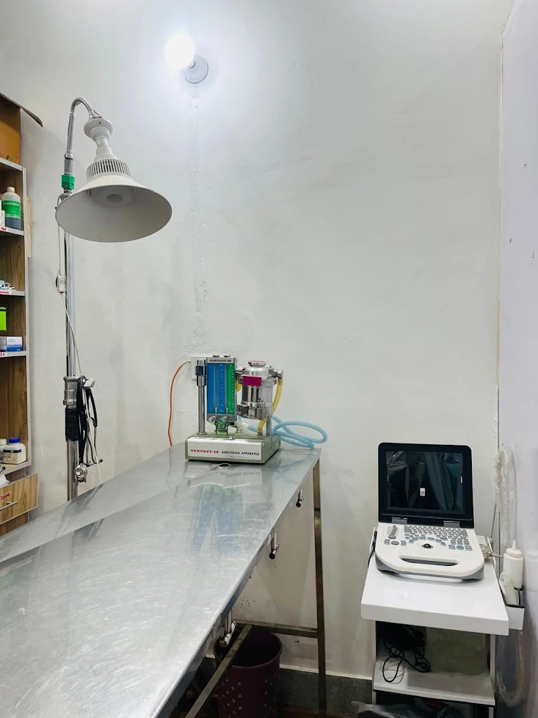 Examination room with an examination lamp, steel table, anaesthesia apparatus and ultrasound